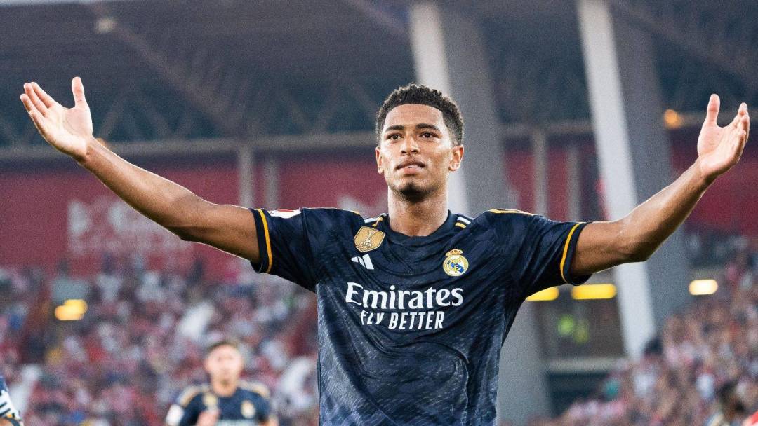 势表现似乎 势表现似乎